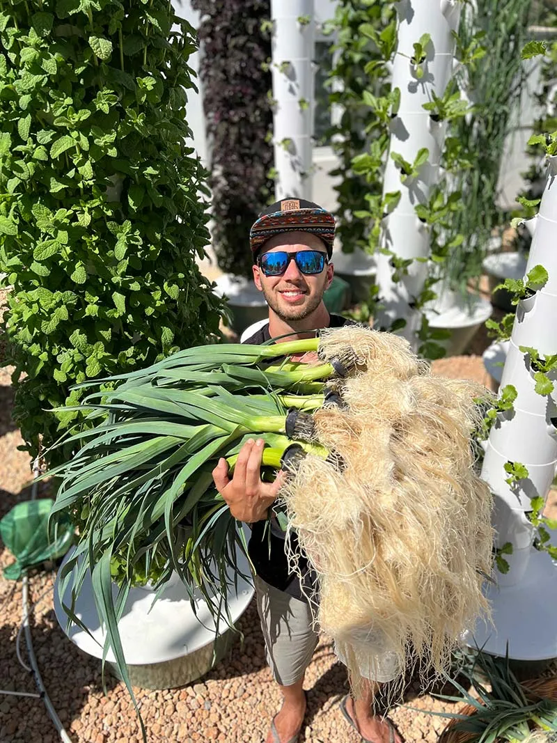 aeroponic-garden-growing-leeks