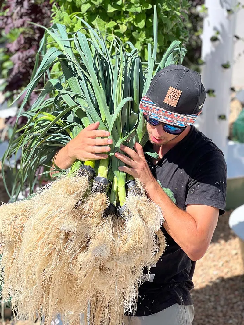 aeroponic-garden-leeks