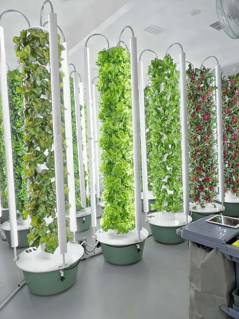 tower-garden-Indoor-Vertical-Farm