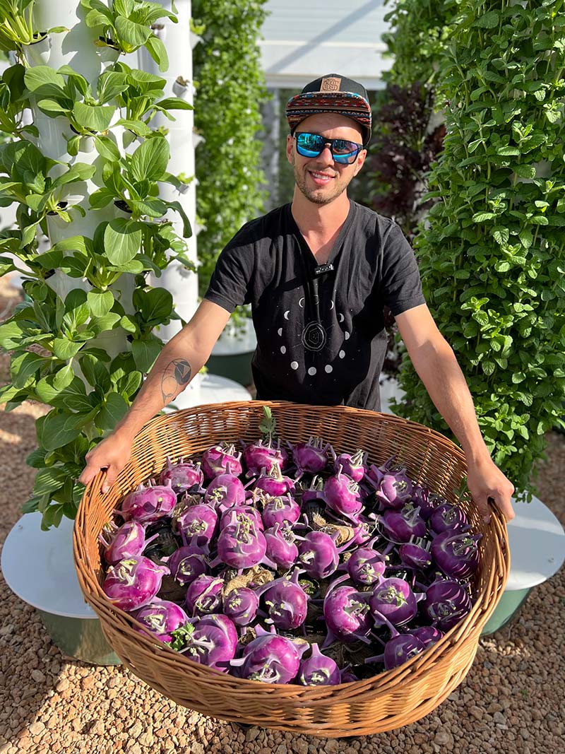 tower-garden-Kohlrabi