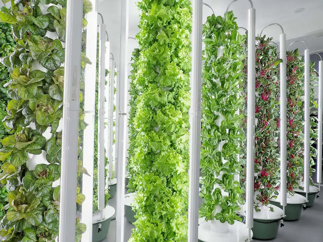 tower-garden-LED-Grow-Lights