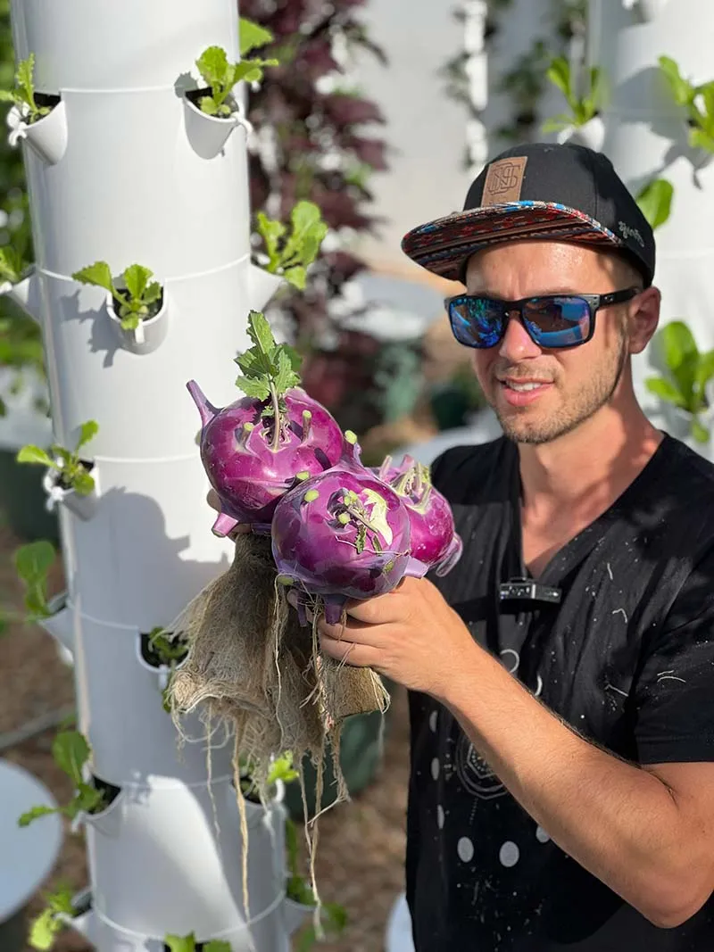 tower-garden-growing-Kohlrabi