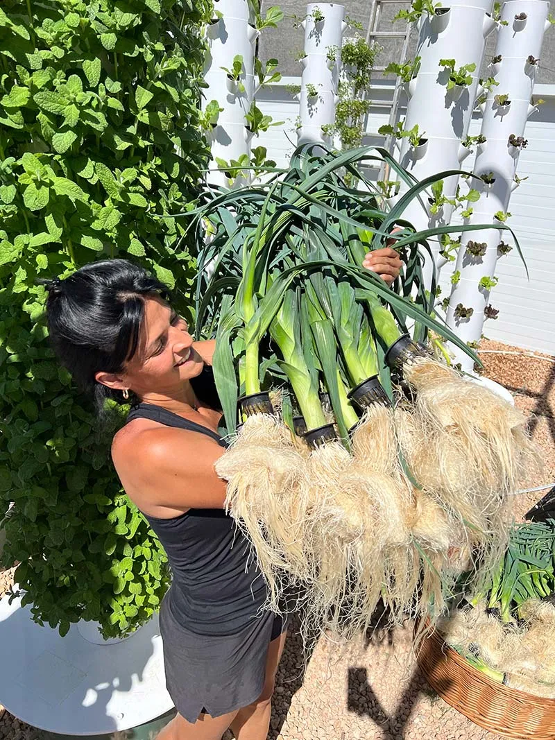 tower-garden-leeks
