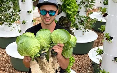 Cabbages on a Tower Garden