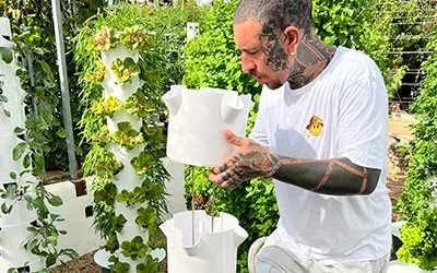 Vertical Farming with Spicy Moustache