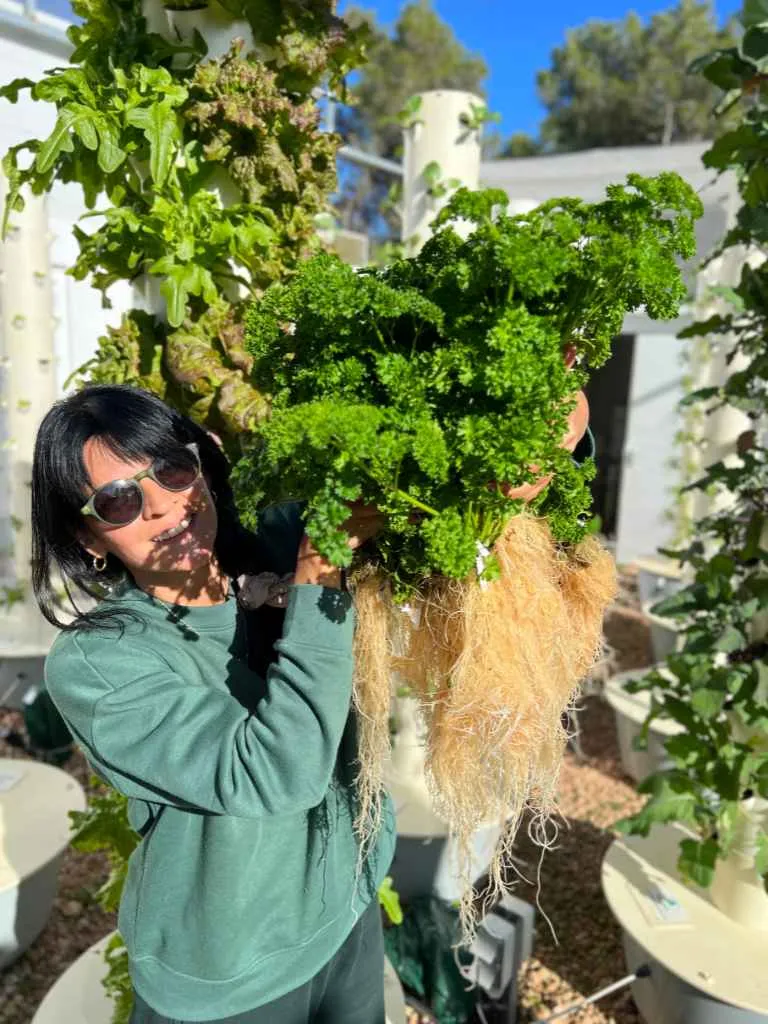 tower-garden-parsely