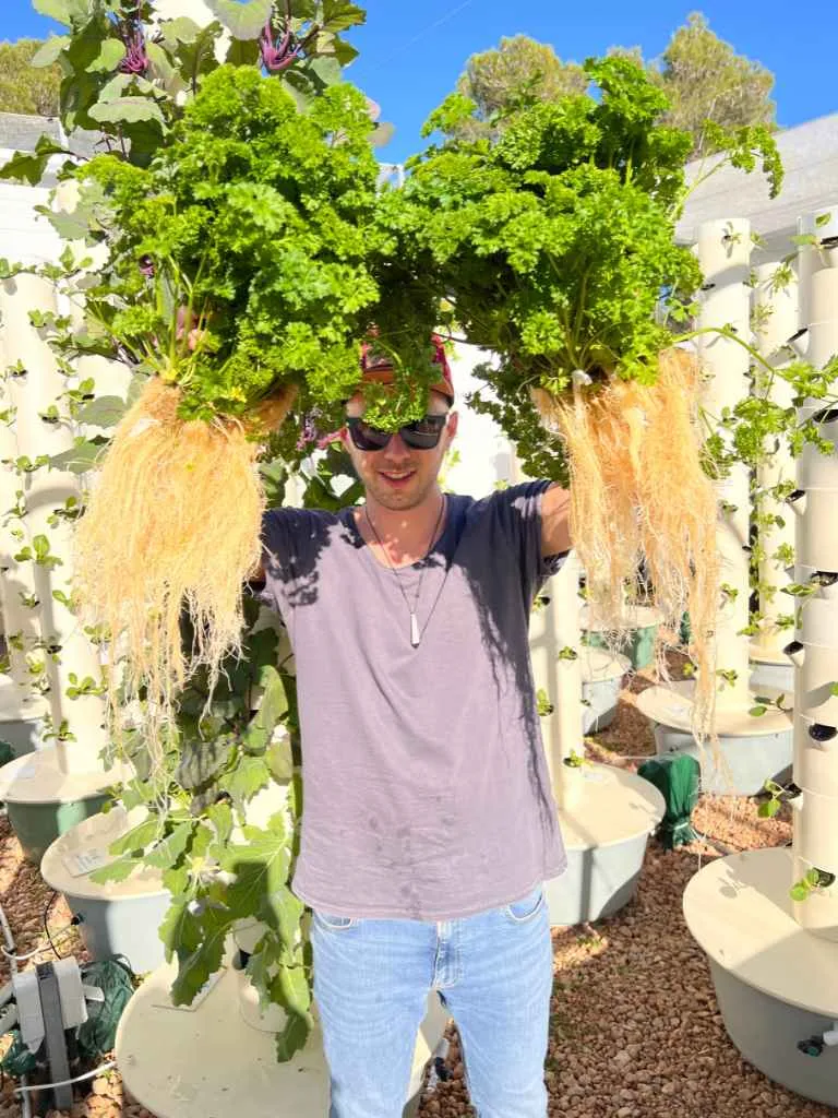 tower-garden-parsley-plant