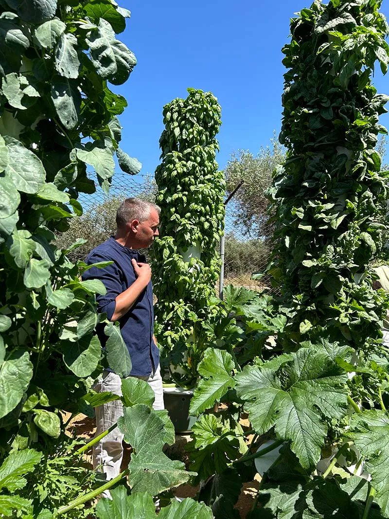 tower-garden-vegetables-portugal