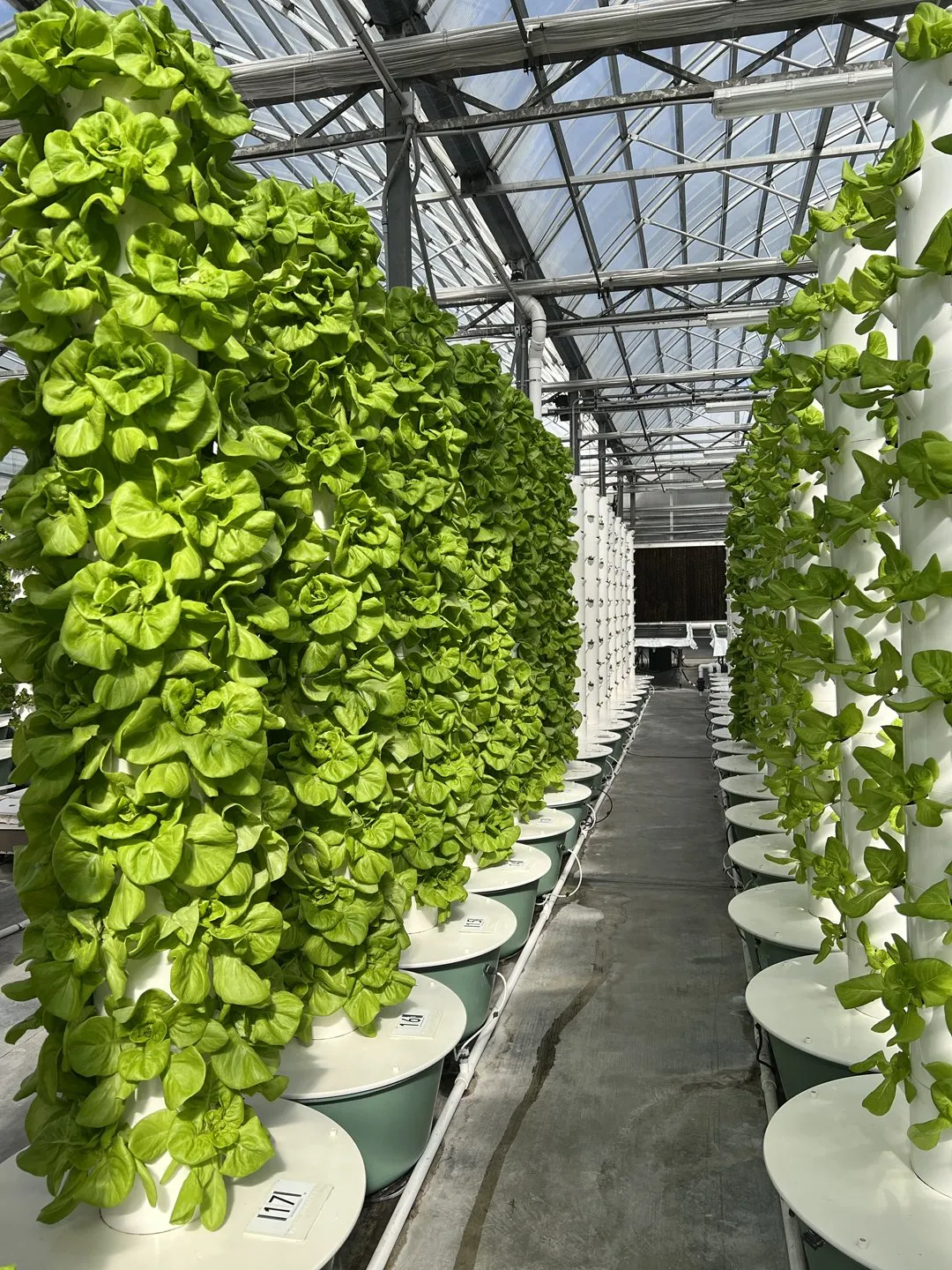 aeroponic-tower-farms