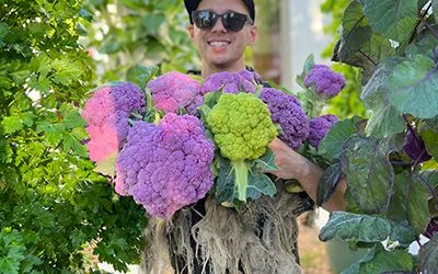 Tower Farm Master Class – Tower Farm Course from Beginner to Advanced