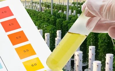 pH up and pH down