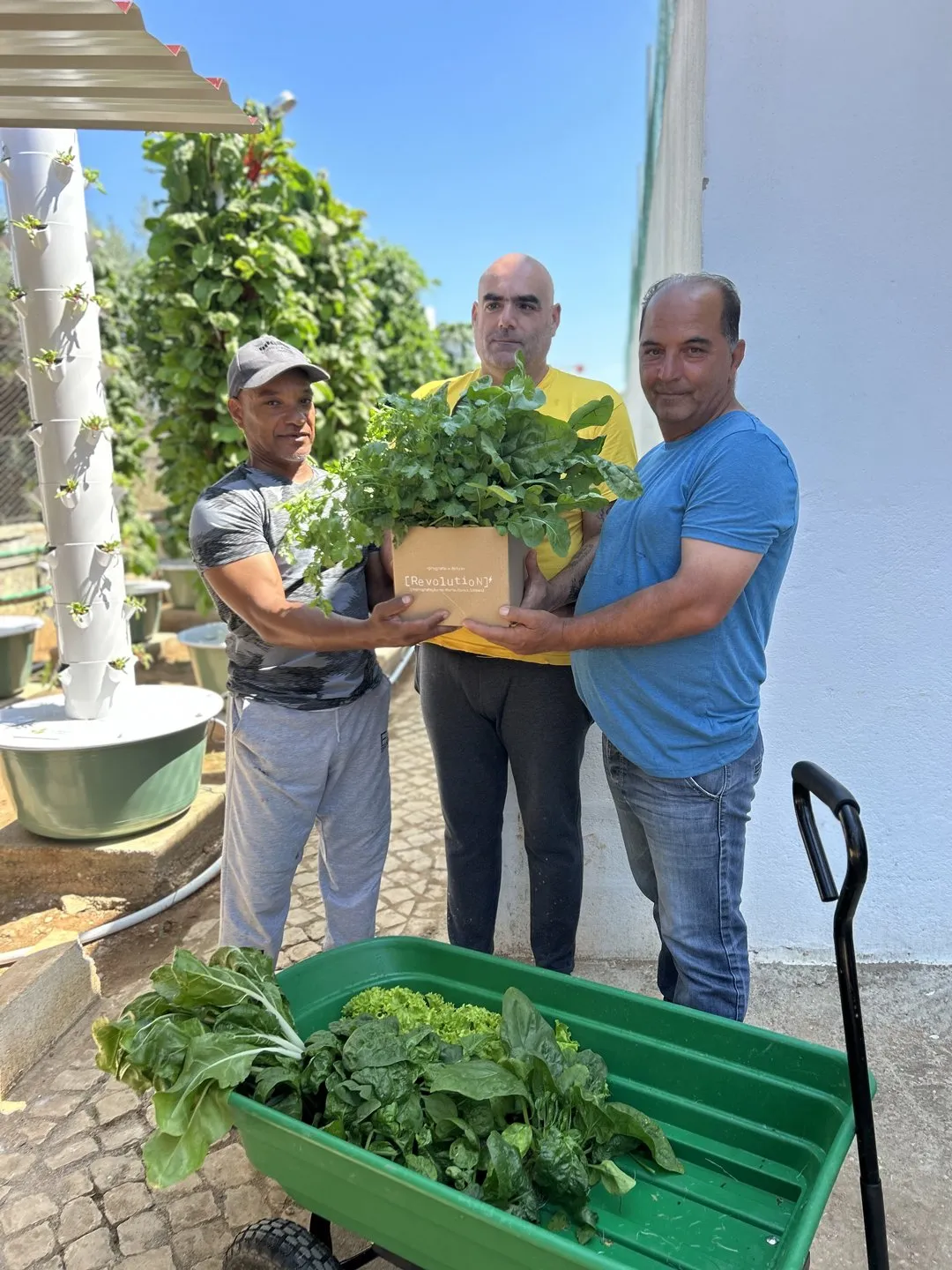 portugal-aeroponic-towers