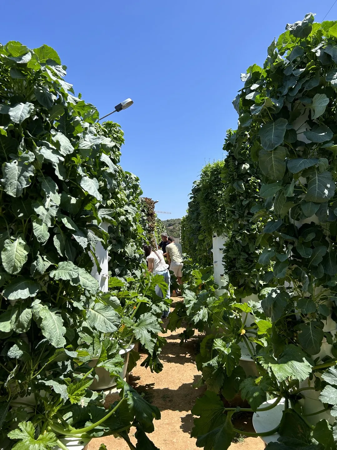 portugal-prison-farm