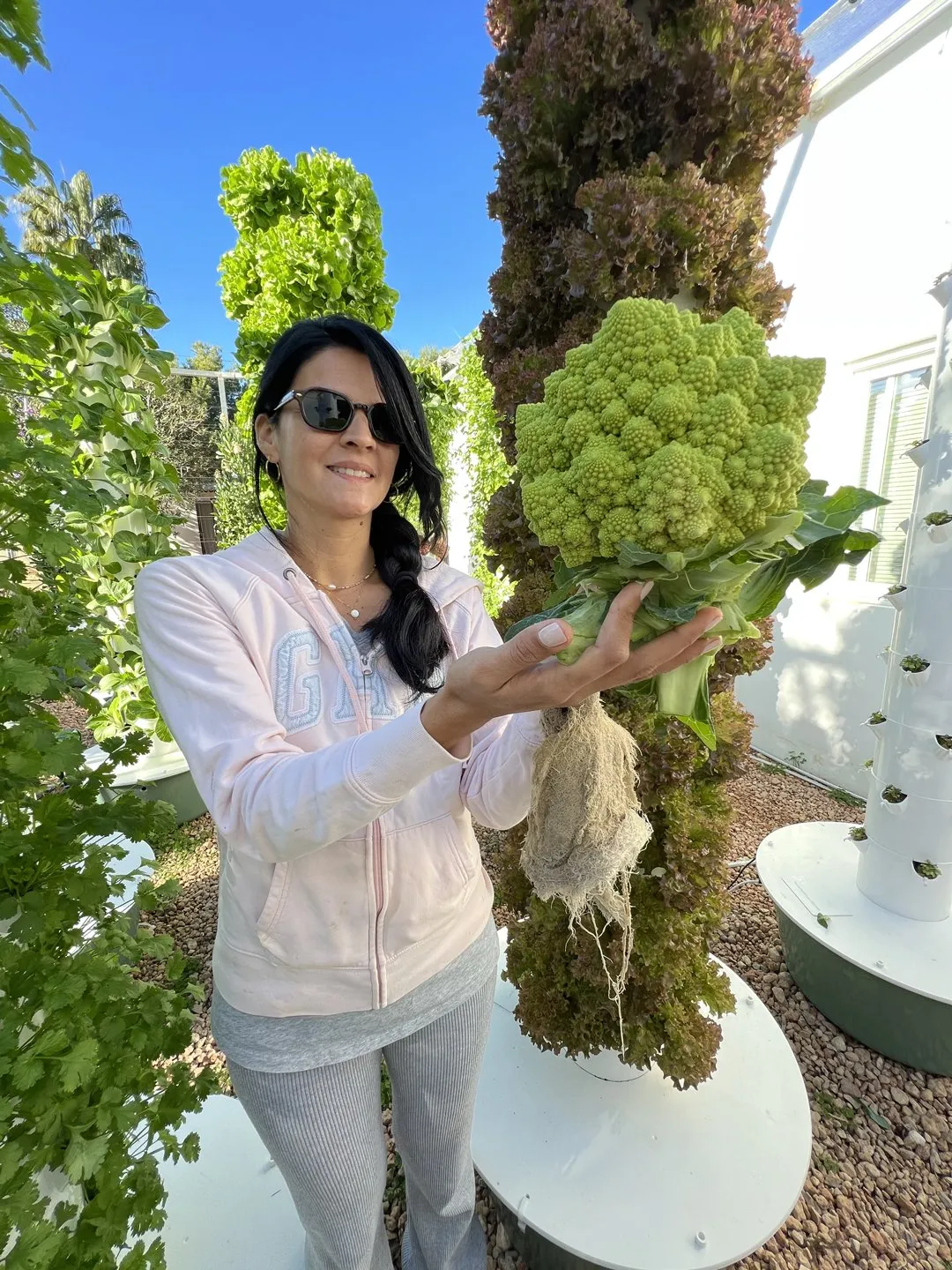 romanesco-on-a-tower-garden