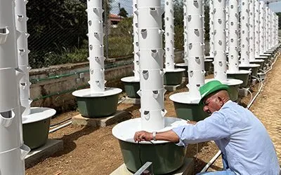 Vertical Farming in a Prison in Portugal