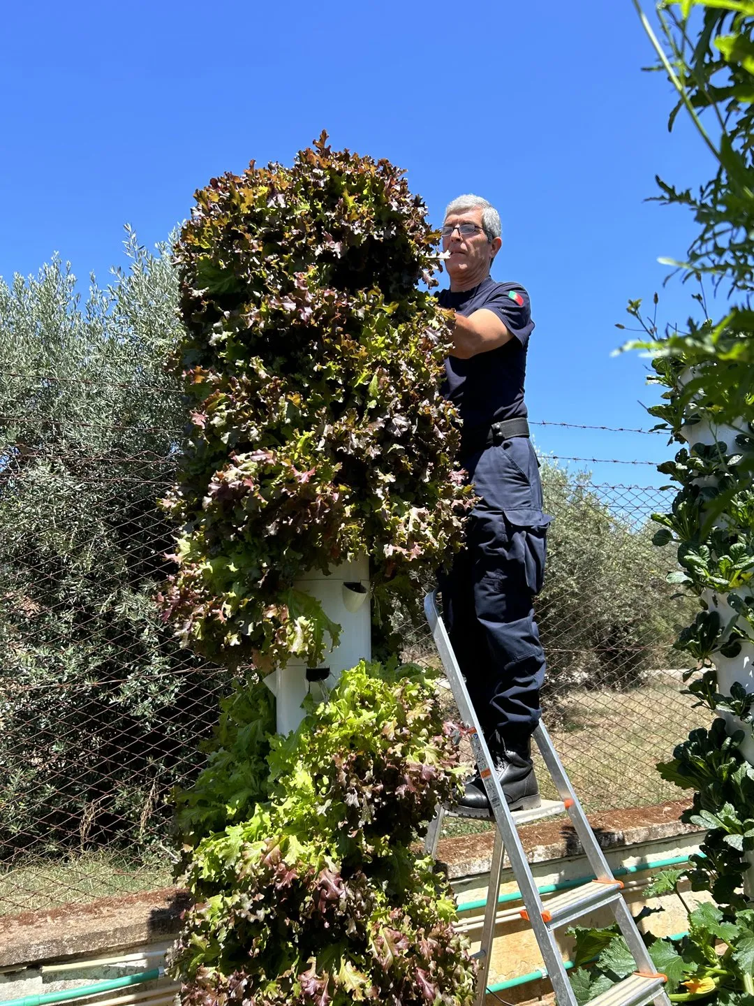 vertical-farm-in-portugal