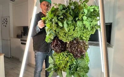 Electricity Consumption of a Tower Garden HOME