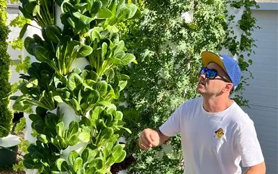 Vertical Farming with Komatsuna on Aeroponic Towers