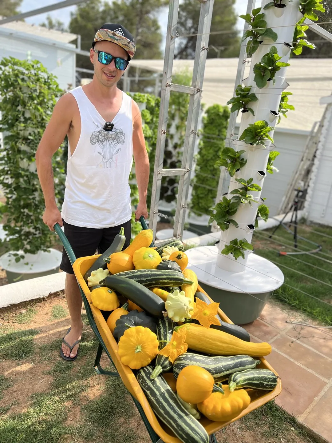tower-garden-zucchini