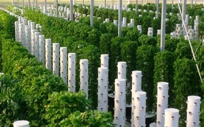 Space Saving of a Vertical Farm using Aeroponic Towers