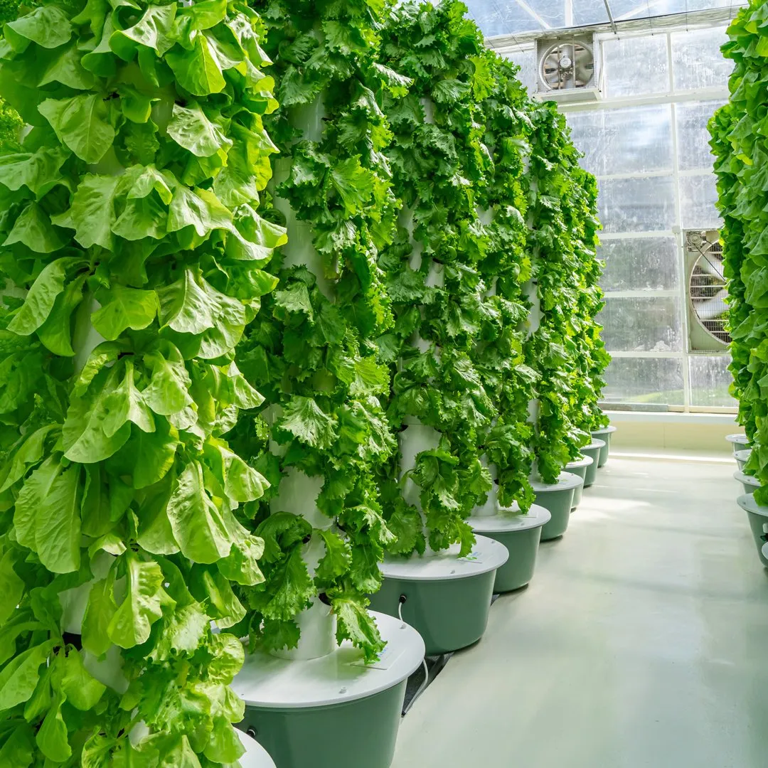 vertical-farming-hydroponic-towers