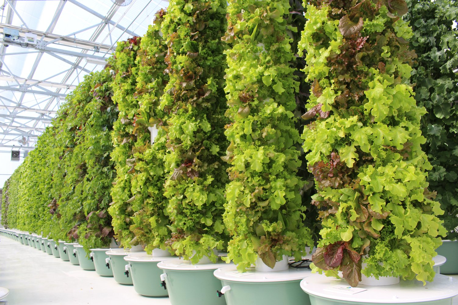 vertical-hydroponic-farming