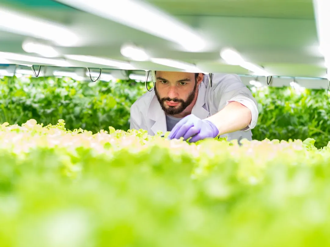are-vertical-farms-failing