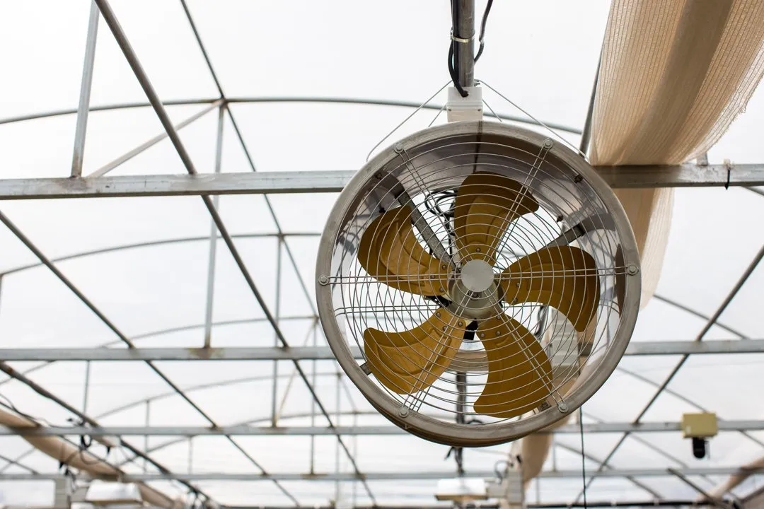 circulation-fans