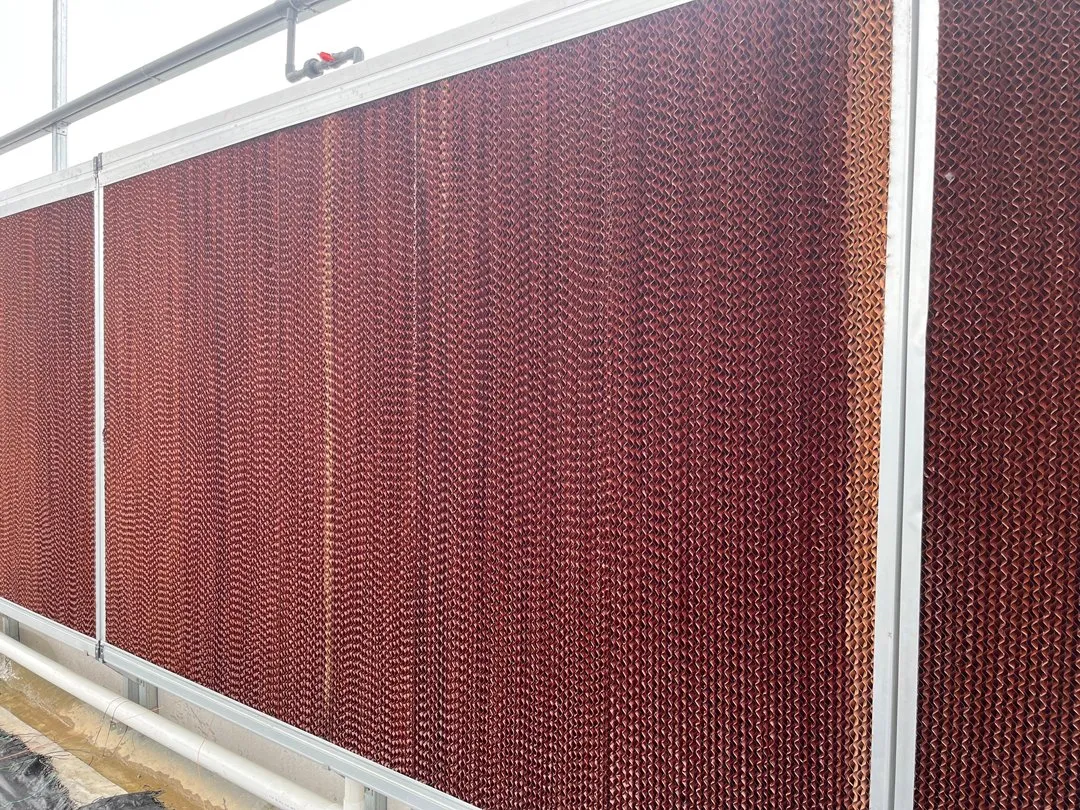 greenhouse-cooling-fans
