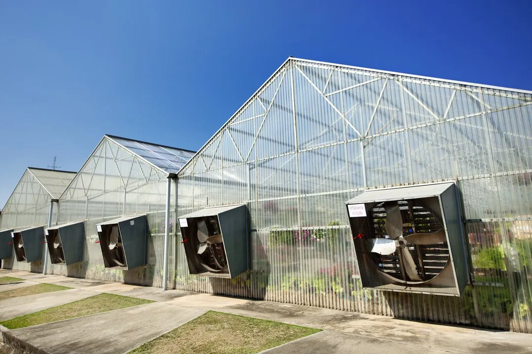 greenhouse-exhaust-fans