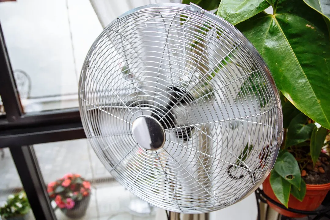 oscilliating-fans-greenhouse