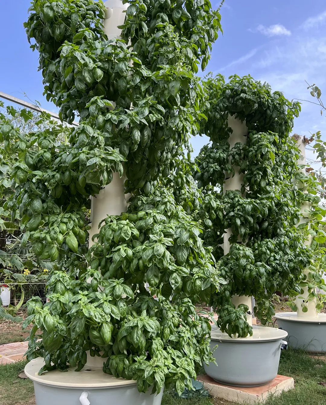 tower-farms-in-europe
