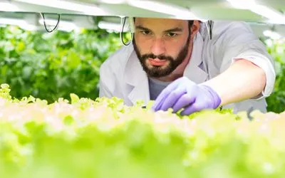 Vertical Farming is Failing… For Them, Not for Us!
