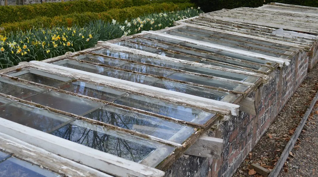 cold-frame-greenhouse