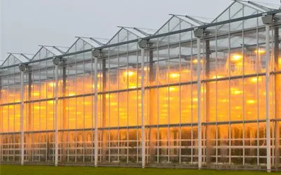 Different Types and Shapes of Greenhouses