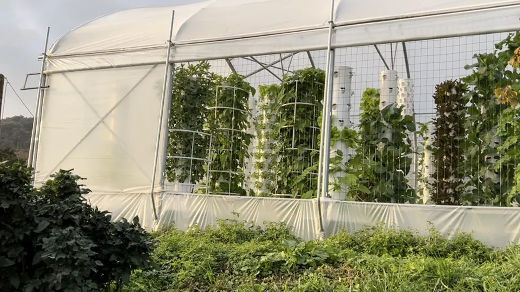 hybrid-greenhouse