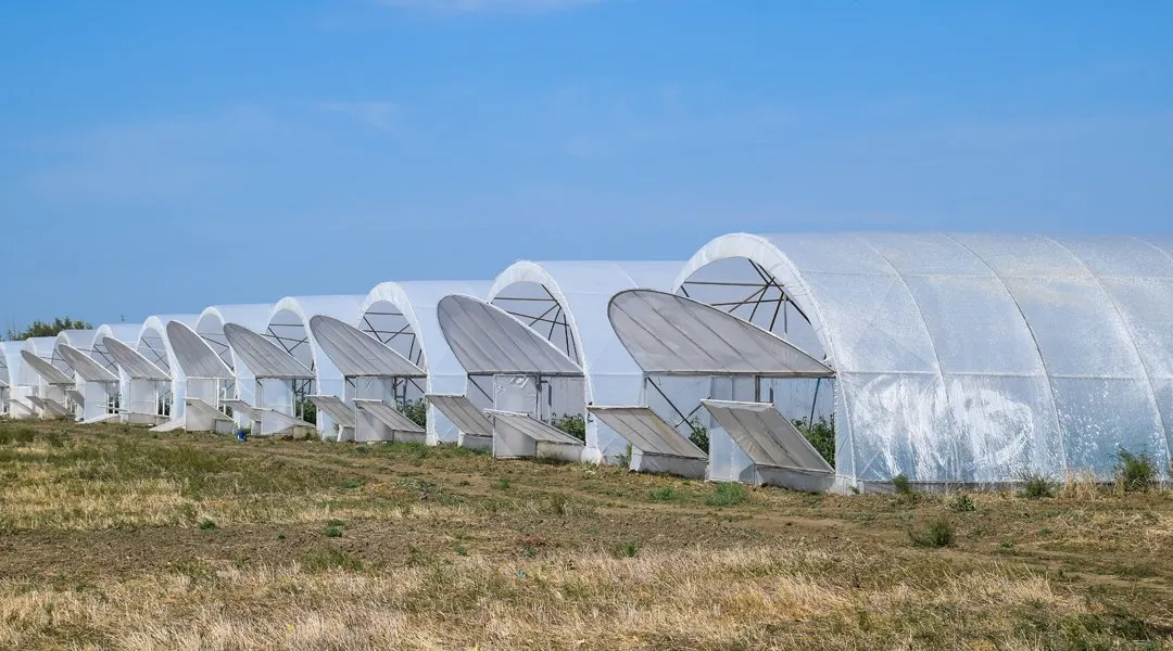 quonset-hoop-greenhouse