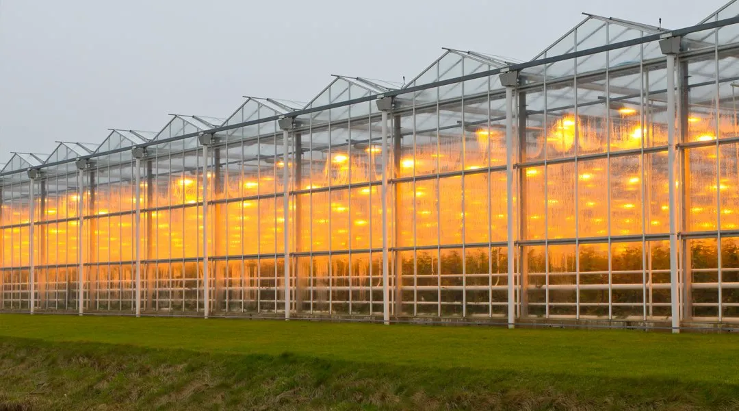 ridge-and-furrow-greenhouse