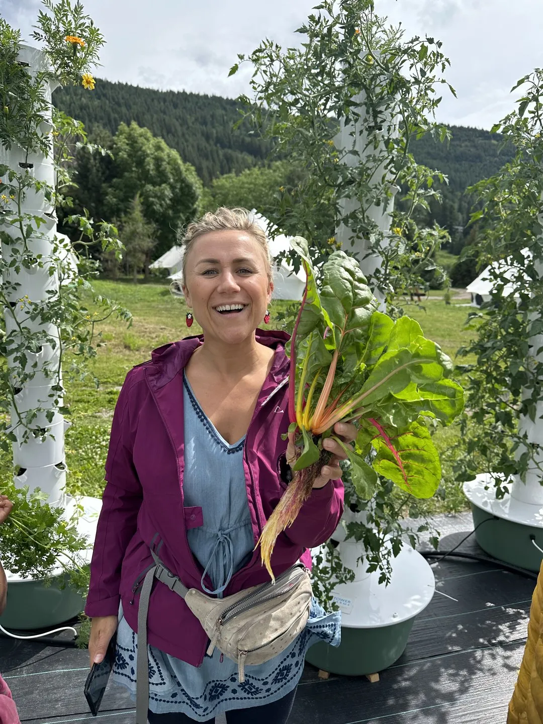 canada-aeroponic-farm
