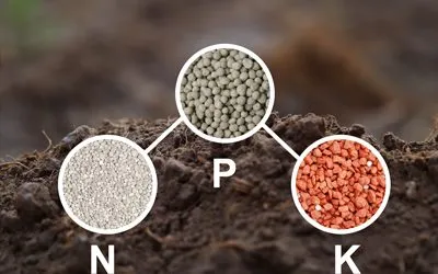 List of Acronyms Related to Fertilizers