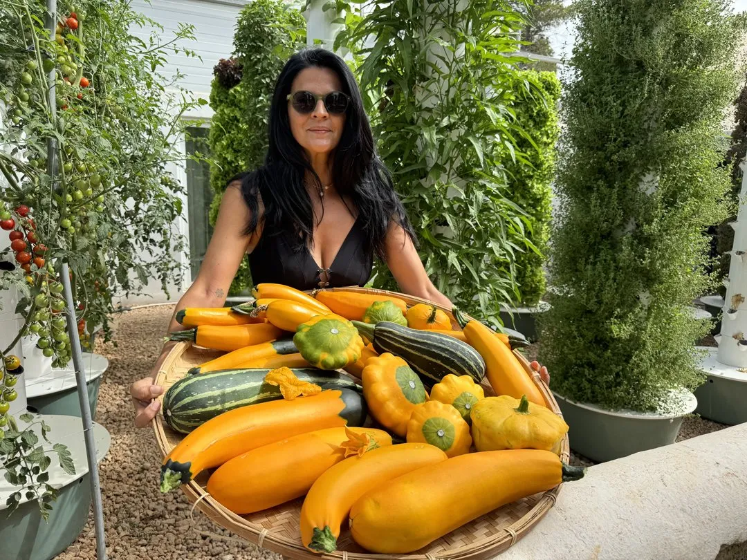 fertilizers-for-vertical-farming