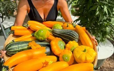 Different Options of Fertilizers That Can Be Used in Tower Farms