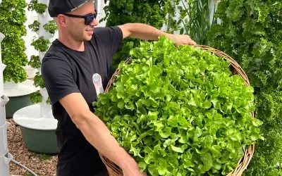 How Much Electricity Does a Commercial Aeroponic Tower Use