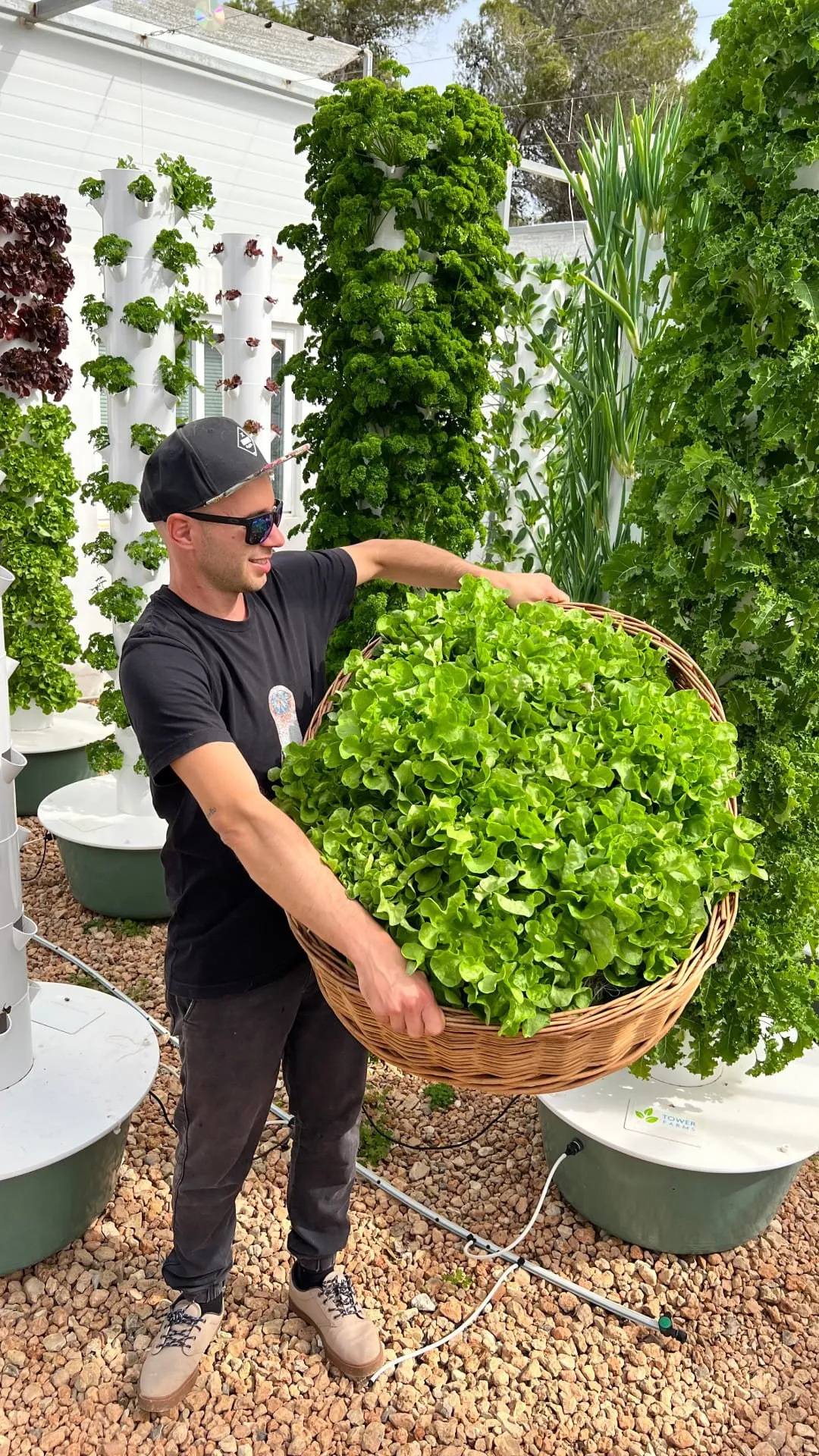 commercial-aeroponic-tower