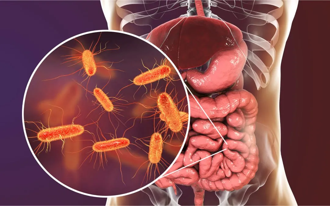 gut-microbiome