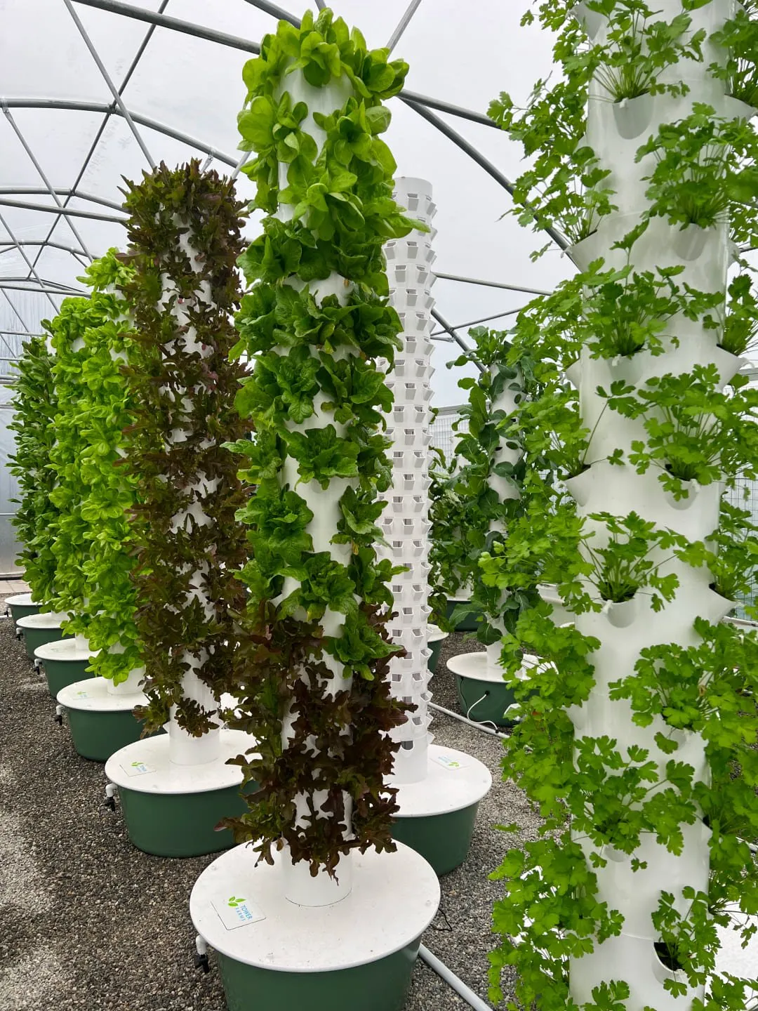 hybrid-greenhouse