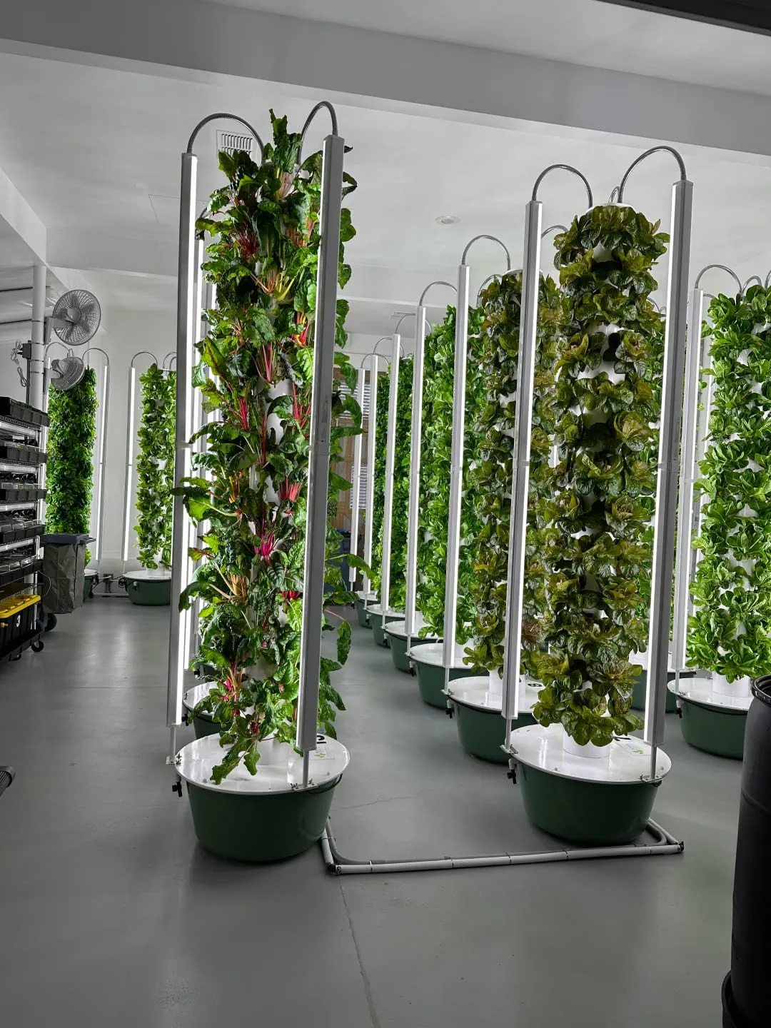 indoors-aeroponic-towers