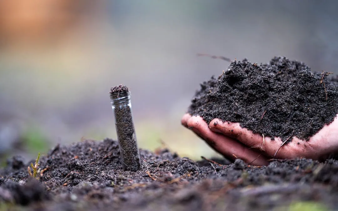 soil-microbiome
