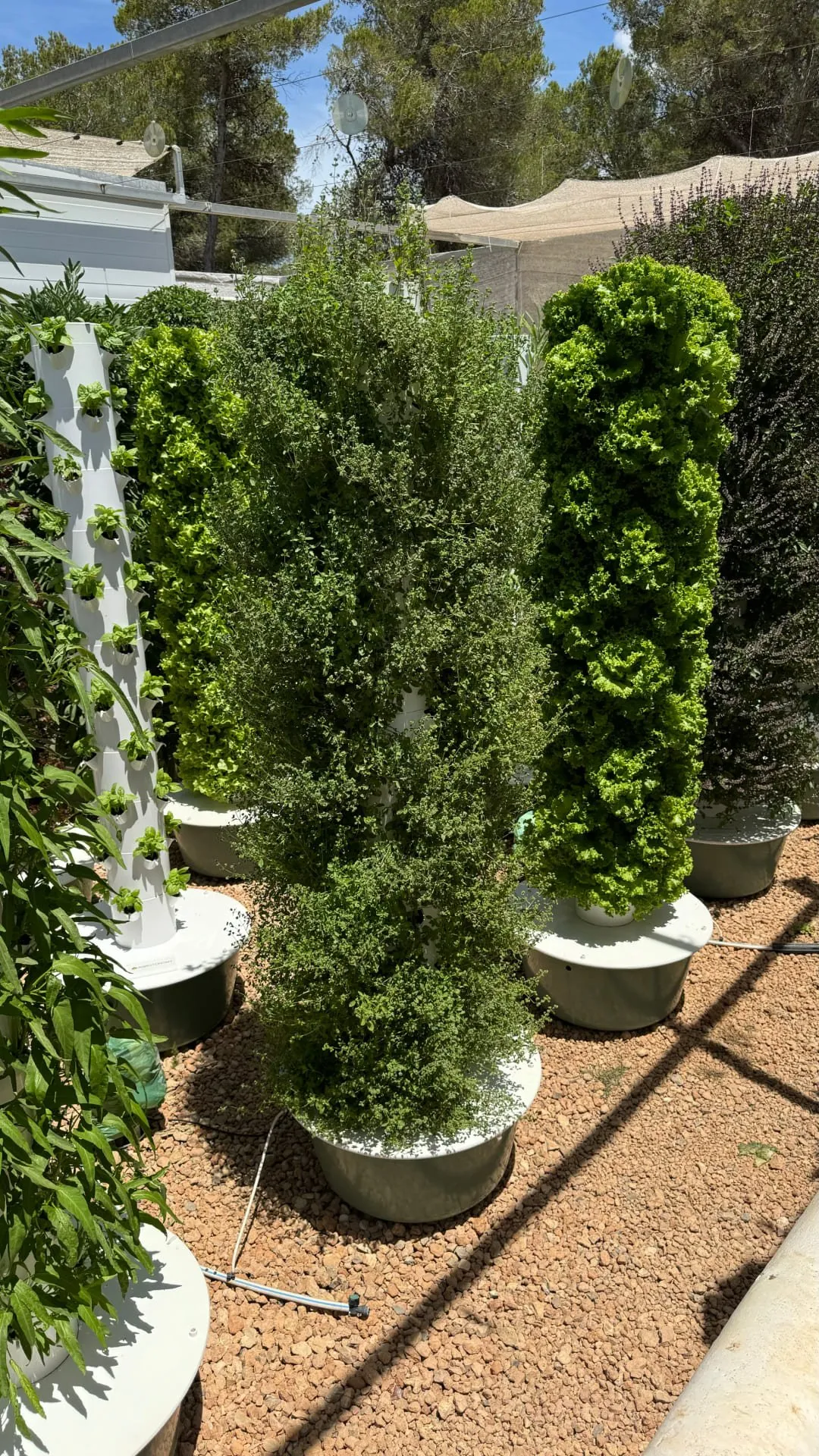 tower-farms-electricity-usage