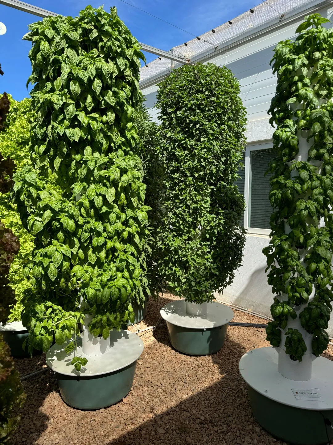 vertical-farming-with-dosatron